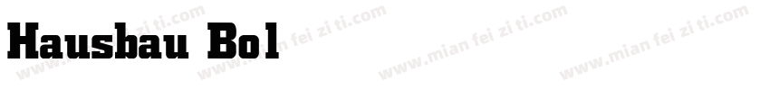 Hausbau Bold字体转换